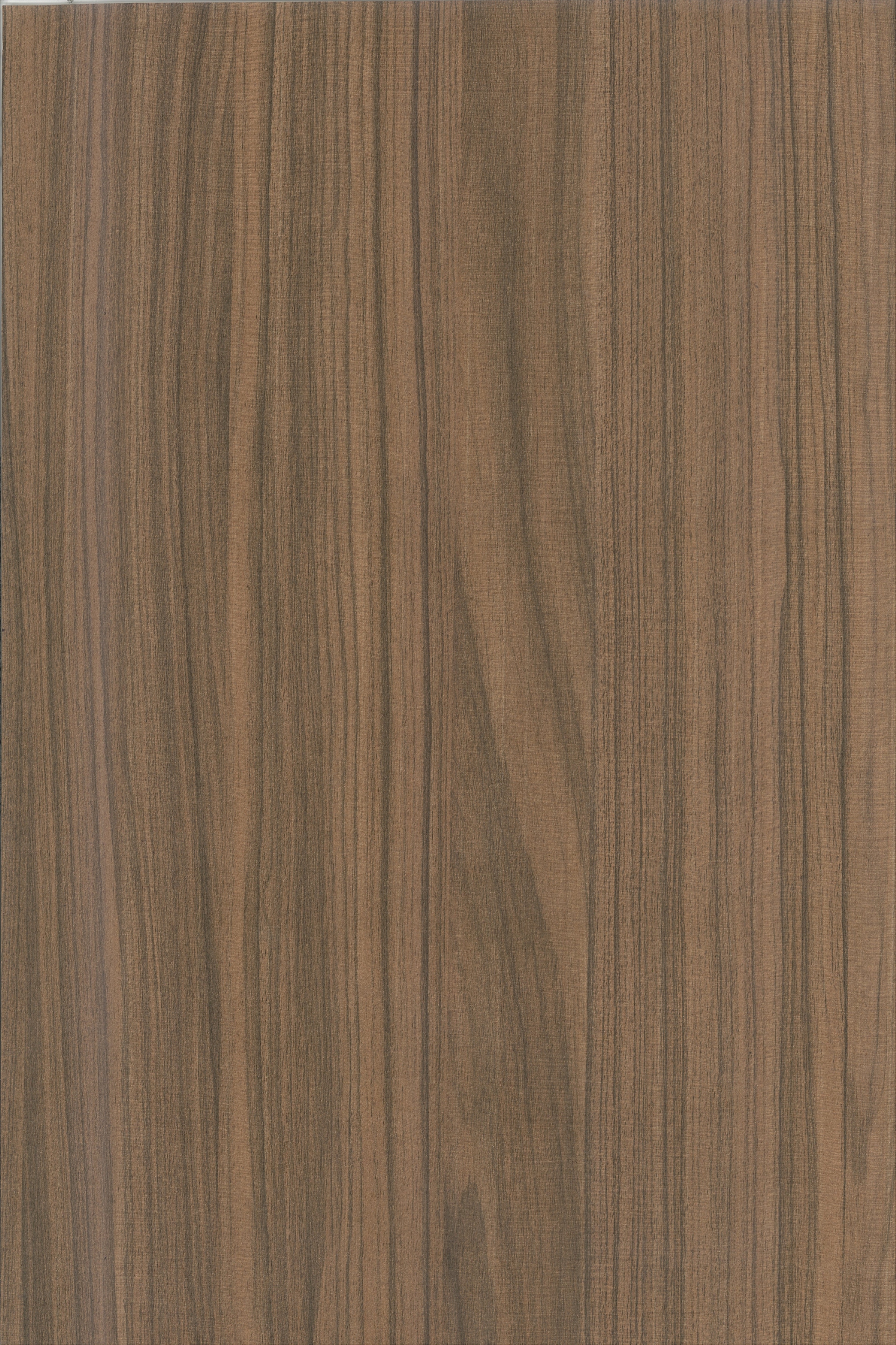 8019  ABSTRACT WOOD